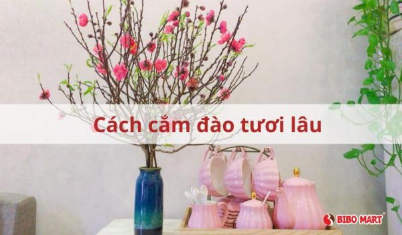 Vi trí đặt cây đào sau Tết cần tránh ánh nắng trực tiếp