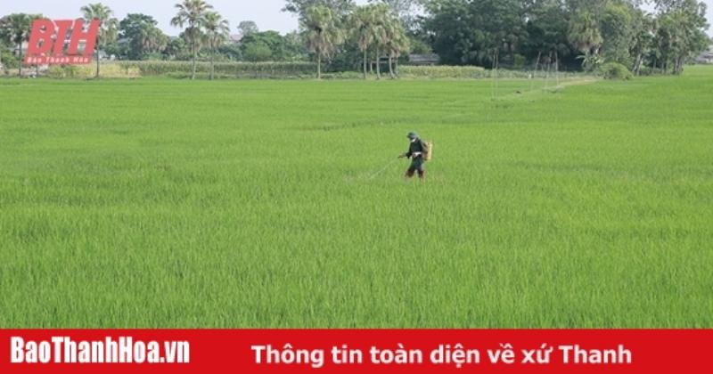 cac-bien-phap-phong-chong-sau-benh-cho-dat