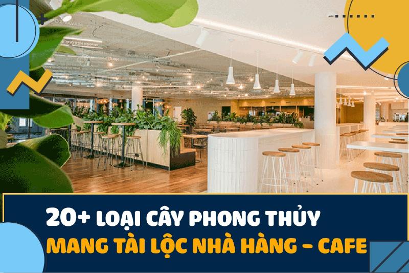Cây bóng mát phong thủy: Sung, Lộc Vừng, Quất