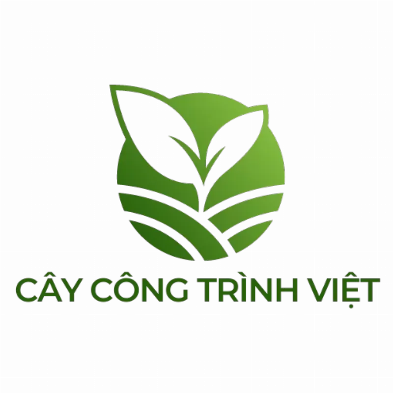 Chọn cây bóng mát phù hợp với điều kiện nhà ở