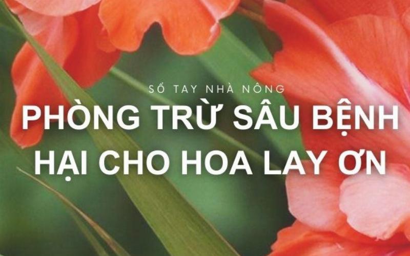 phong-tru-sau-benh-cho-hoa-lay-on
