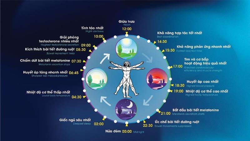 Tối ưu ánh sáng và nhiệt độ cho hoa ly phát triển khỏe mạnh và nở hoa rực rỡ đúng thời điểm mong muốn