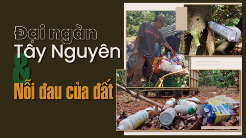 Hình ảnh minh họa người nông dân bón phân hoặc phun phân bón lá cho cây sầu riêng