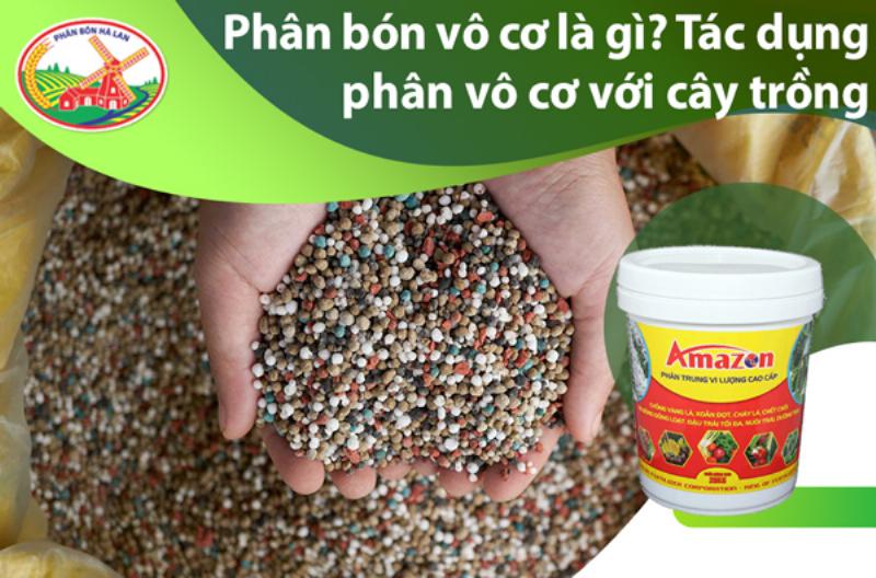 Hình ảnh các loại phân bón vô cơ phổ biến dùng bón thúc như Ure, NPK, Kali, SA giúp cây phát triển nhanh và hiệu quả