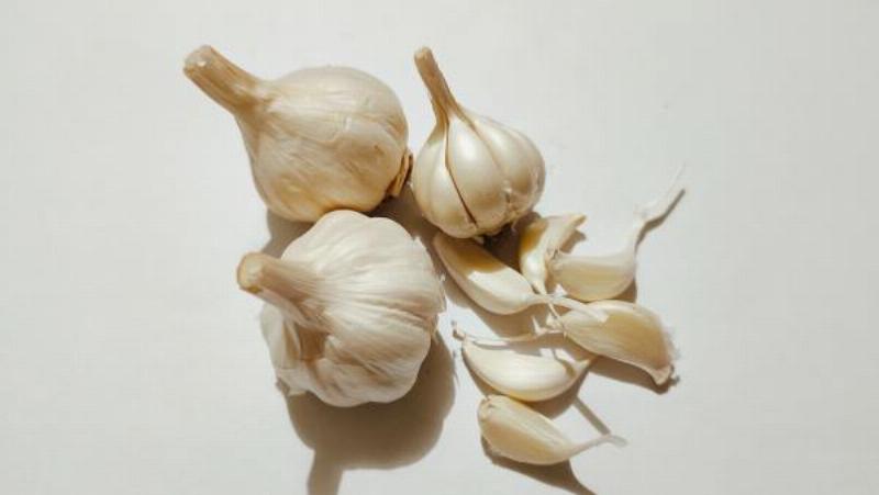 Hình ảnh minh họa cách trồng cây tỏi trong chậu tại nhà, các bước cơ bản chuẩn bị đất và tép tỏi