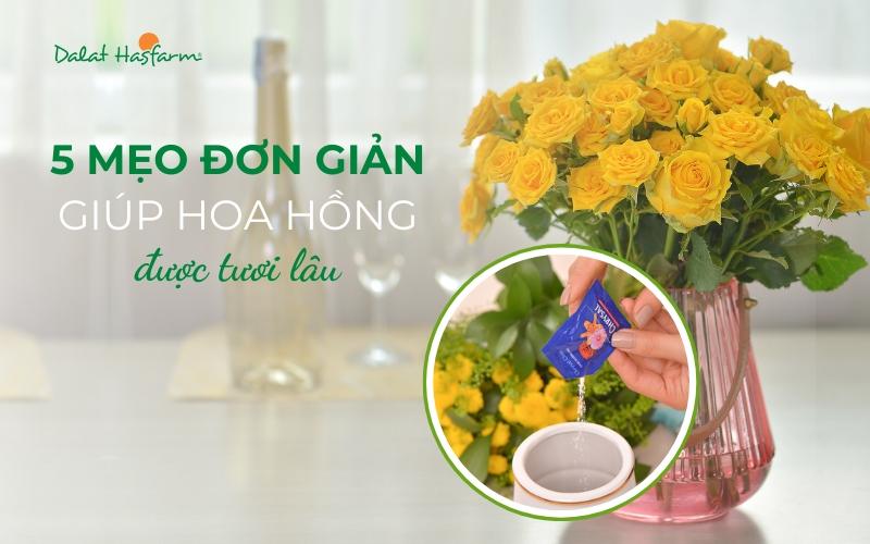 Các bước chăm sóc hoa hồng cắt cành để giữ hoa tươi lâu