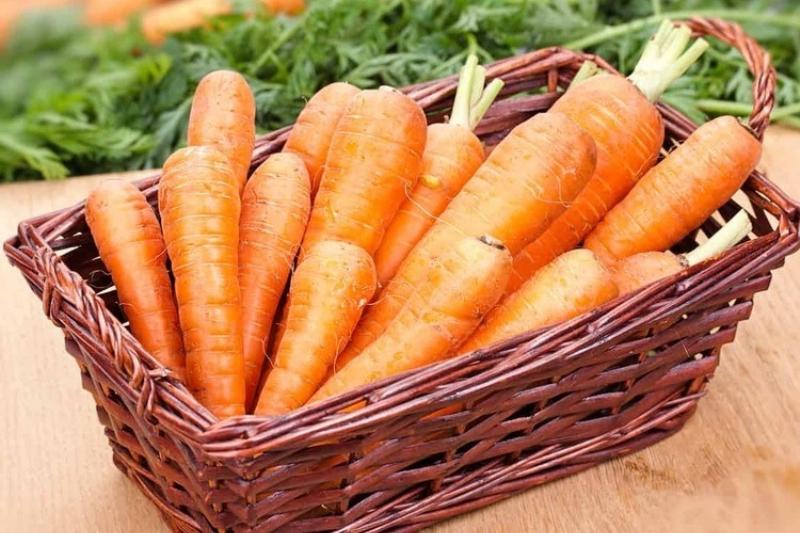 Cách chuẩn bị cà rốt trước khi bảo quản sau thu hoạch, bao gồm làm sạch, cắt ngọn, và làm khô.