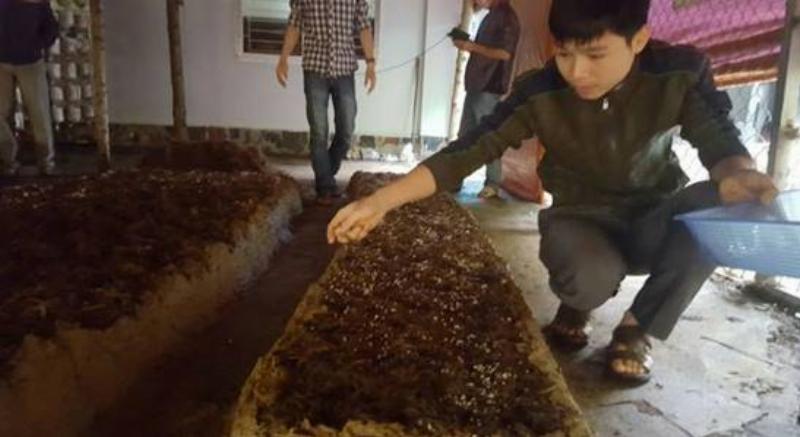 Hình ảnh thể hiện việc chăm sóc đất trồng rau sau khi trồng, có thể là che phủ đất bằng rơm hoặc bổ sung compost lên bề mặt