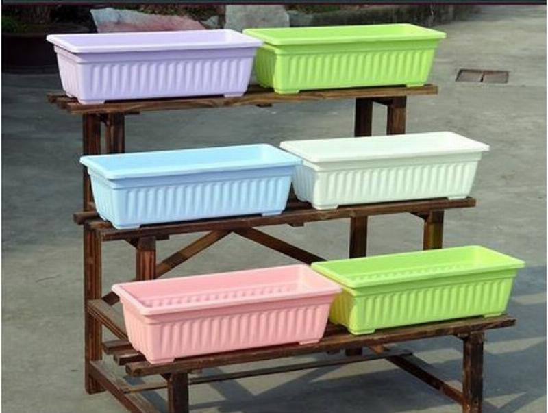 Chọn đất và chậu phù hợp khi trồng dâu tây mới mua về giúp cây nhanh bén rễ