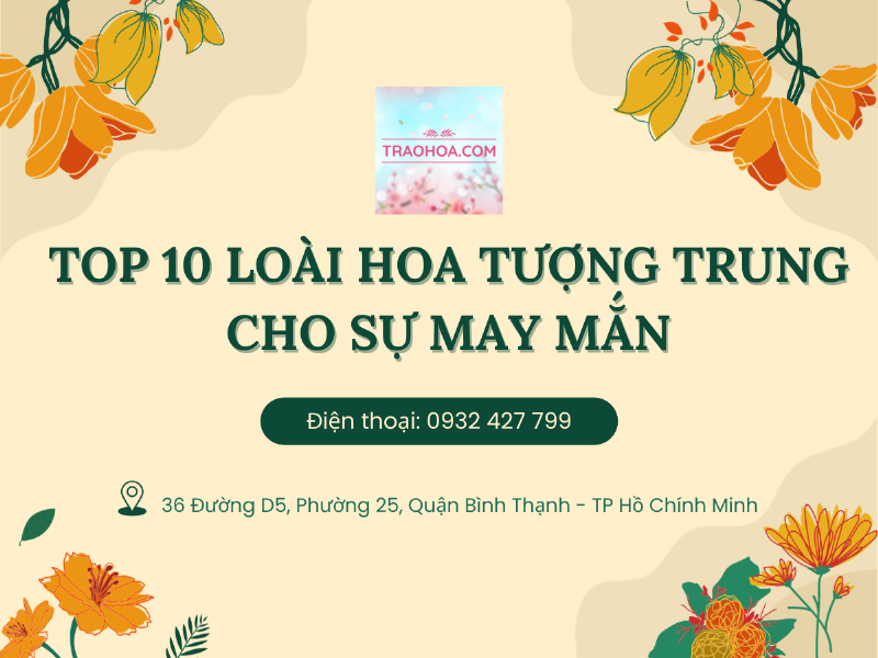 Hình ảnh hoa ly đẹp tượng trưng cho ý nghĩa tinh khiết và thanh cao của loài hoa này