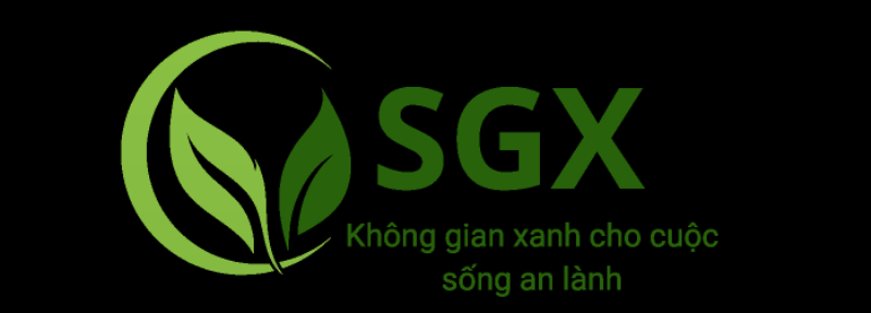 Góc ban công xanh mát với những chậu trúc quân tử tạo không gian thư giãn lý tưởng trên ban công
