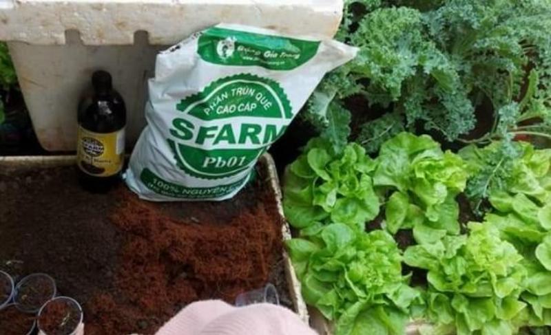 Một người đang thực hiện các bước trộn đất trồng rau tại vườn nhà, cho thấy việc thêm chất hữu cơ và vật liệu làm tơi xốp vào đất nền