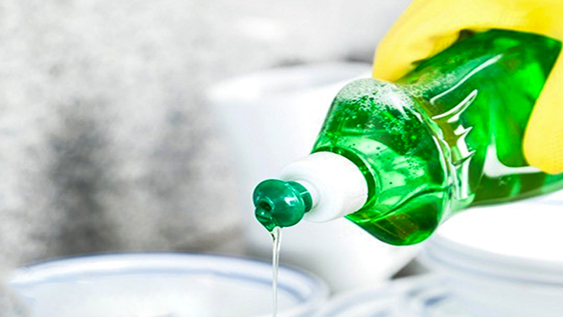 Hình ảnh cận cảnh lá bách thủy tiên bị đốm nâu hoặc rệp sáp, minh họa vấn đề sâu bệnh thường gặp