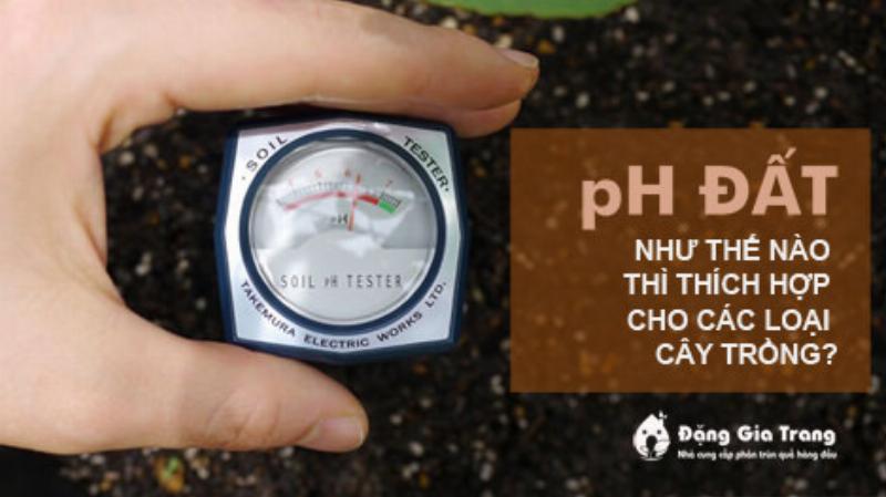 Thang đo pH đất hiển thị các khoảng pH từ chua đến kiềm, cùng ảnh hưởng đến cây trồng