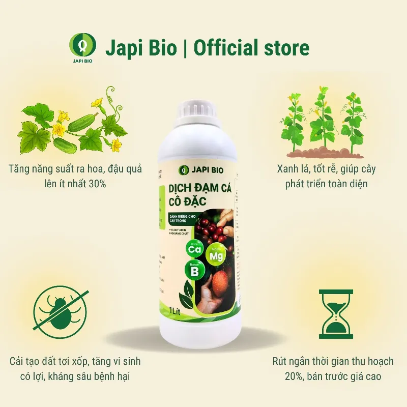 Thực hiện thụ phấn nhân tạo cho hoa cái dưa chuột giúp tăng khả năng đậu quả và năng suất