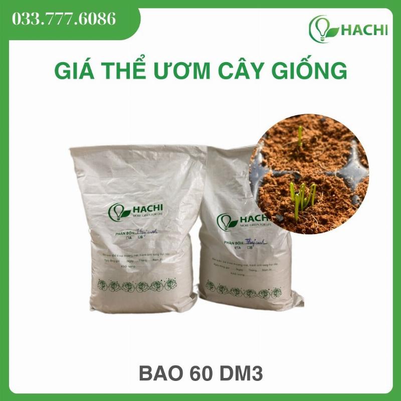 Những mầm cây nhỏ đang phát triển khỏe mạnh trong khay ươm với giá thể tự làm, thể hiện sự thành công của việc ươm hạt giống