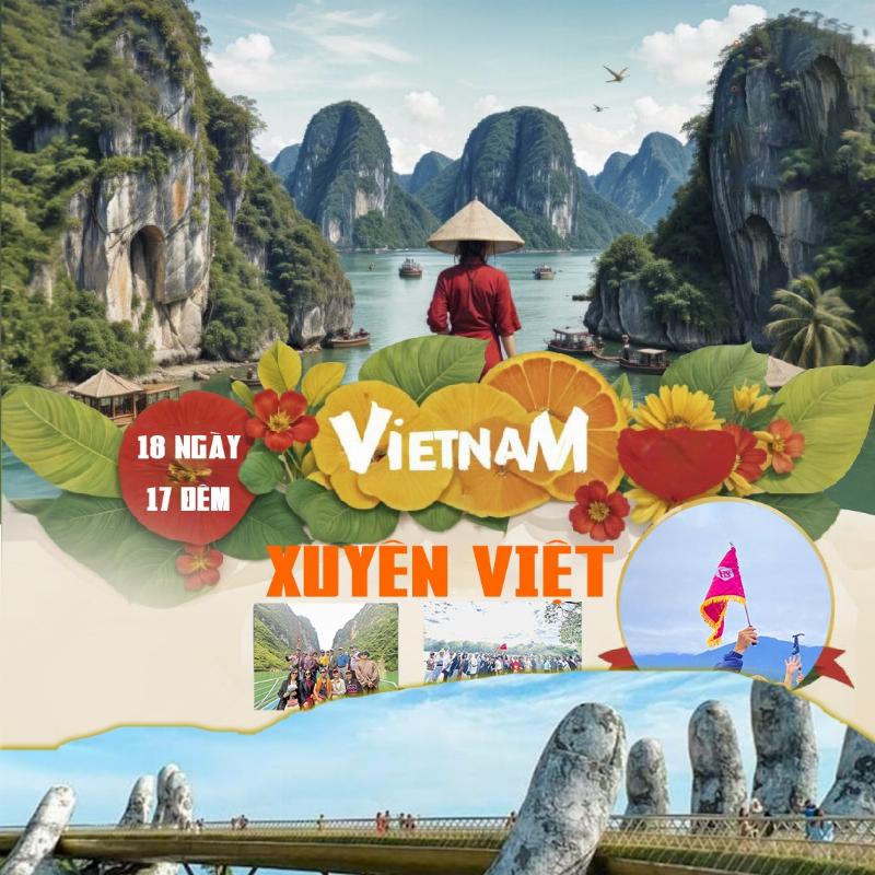 Toan canh vuon cay thanh mai xanh tot trong khung canh nui non hung vi mien bac viet nam