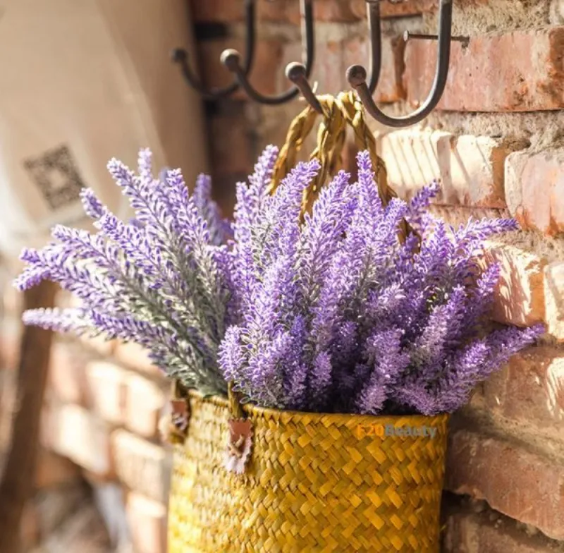 Hoa lavender là loài hoa màu tím mang mùi hương dễ chịu