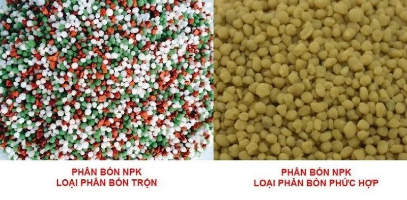 Phân bón hỗn hợp