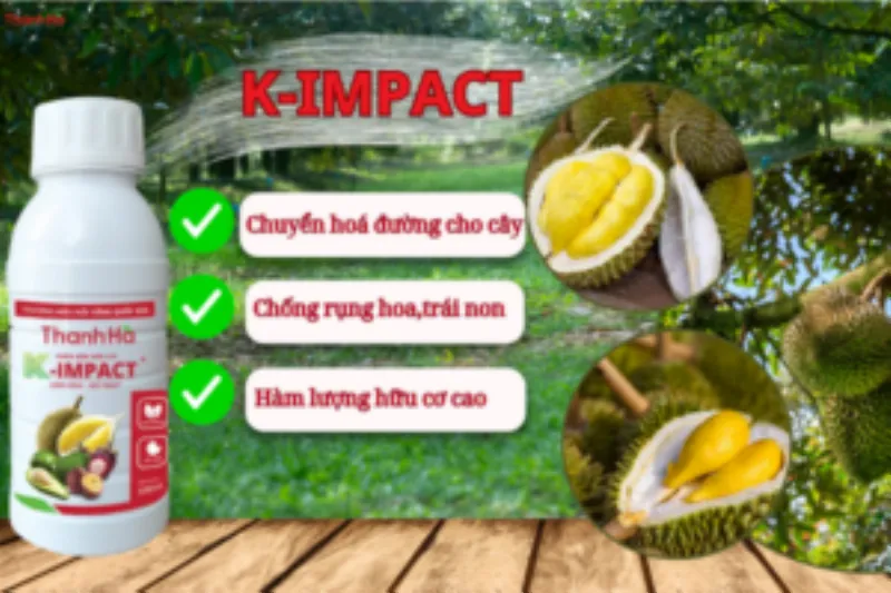 Phân bón hữu cơ K-IMPACT