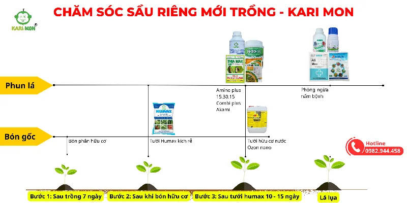 Quy Trình Chăm Sóc Cây Sầu Riêng Mới Trồng