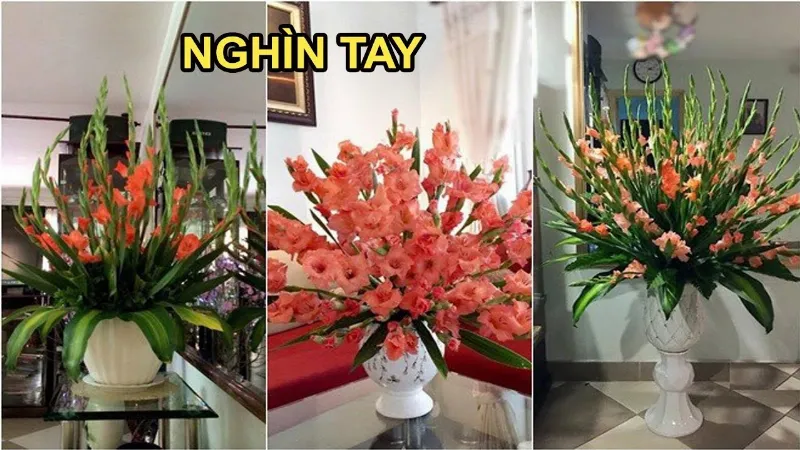 Alt: Bình hoa lay ơn đơn giản nhưng tinh tế