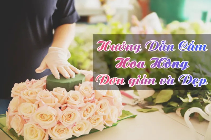 Cách cắm hoa hồng đơn giản