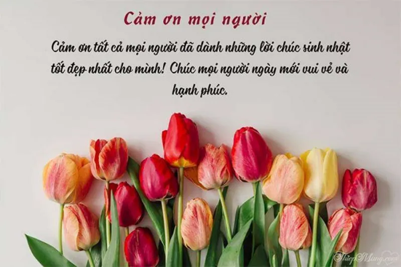 Lời cảm ơn chúc mừng sinh nhật hay gửi đến thầy cô