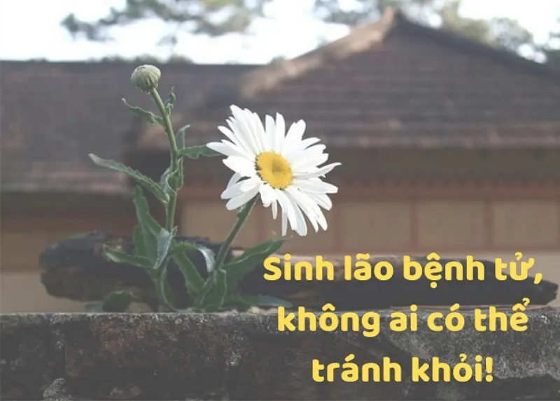 Tôn trọng người đã khuất