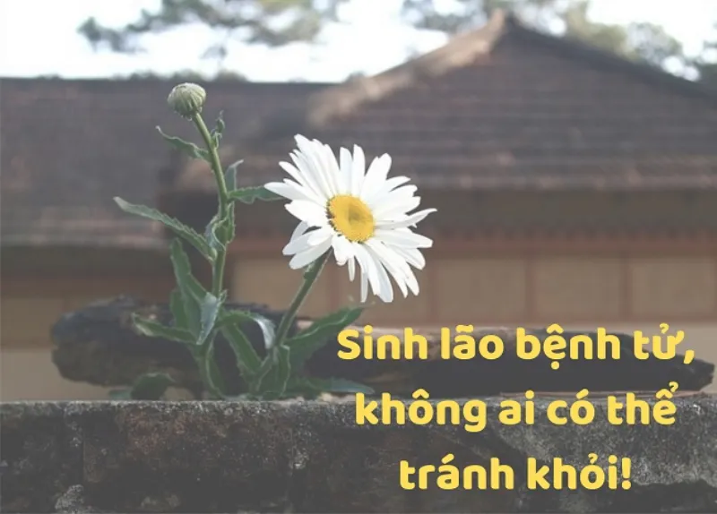 Tôn trọng người đã khuất