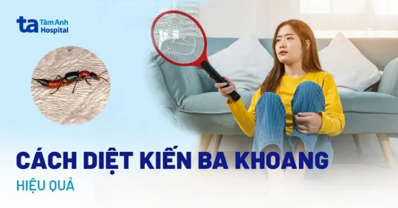 cách diệt kiến ba khoang