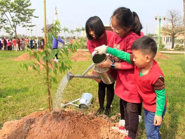 Cách trồng và chăm sóc hoa anh đào