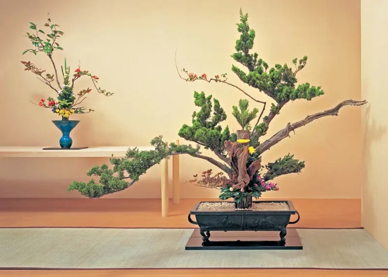 Hoa Ikebana - Nghệ thuật cắm hoa Nhật Bản