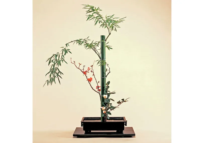 Nguyên tắc cắm hoa Ikebana Nhật Bản