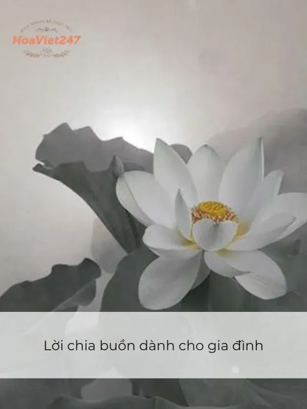 những câu chia buồn trong gia đình 