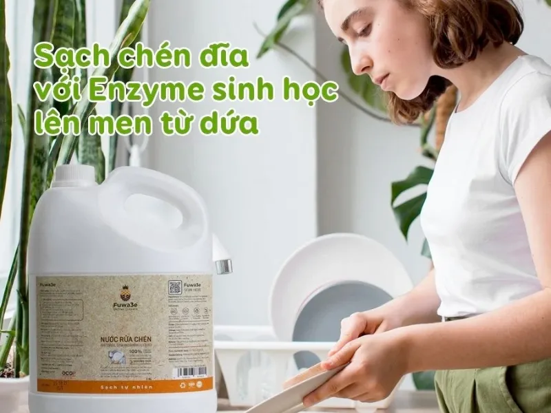 Nước rửa chén sinh học hữu cơ làm sạch chén dĩa hiệu quả