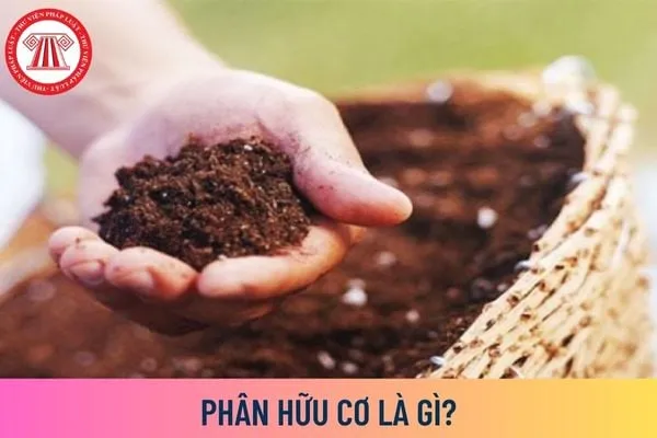 Phân hữu cơ 