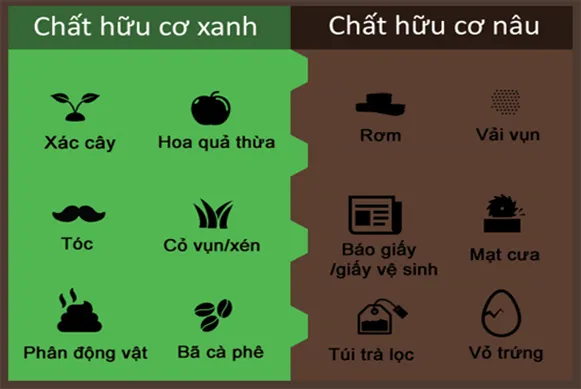 Phân loại phân xanh và phân nâu