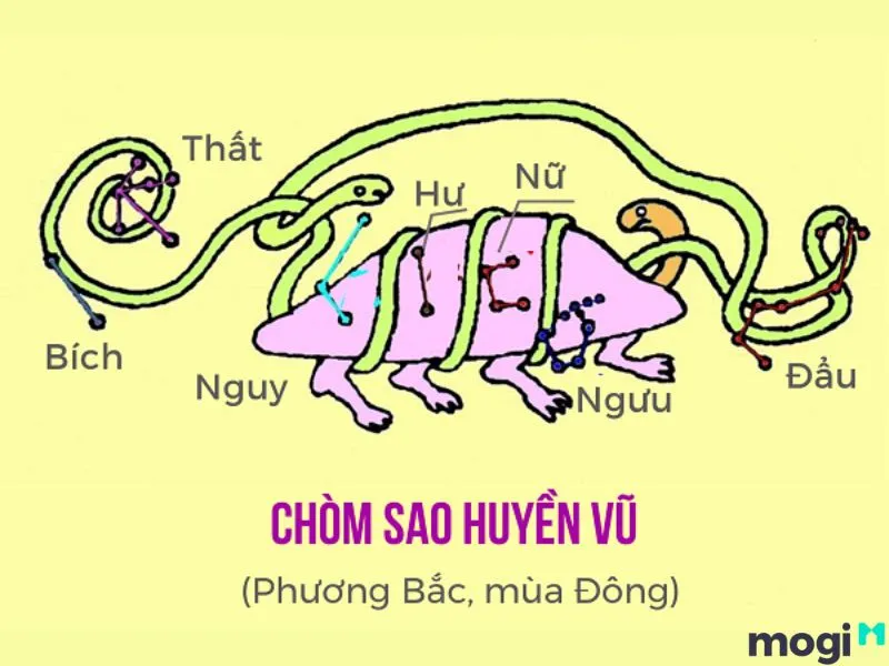 Trong thiên văn, Huyền Vũ là một cung gồm 7 chòm sao phương Bắc