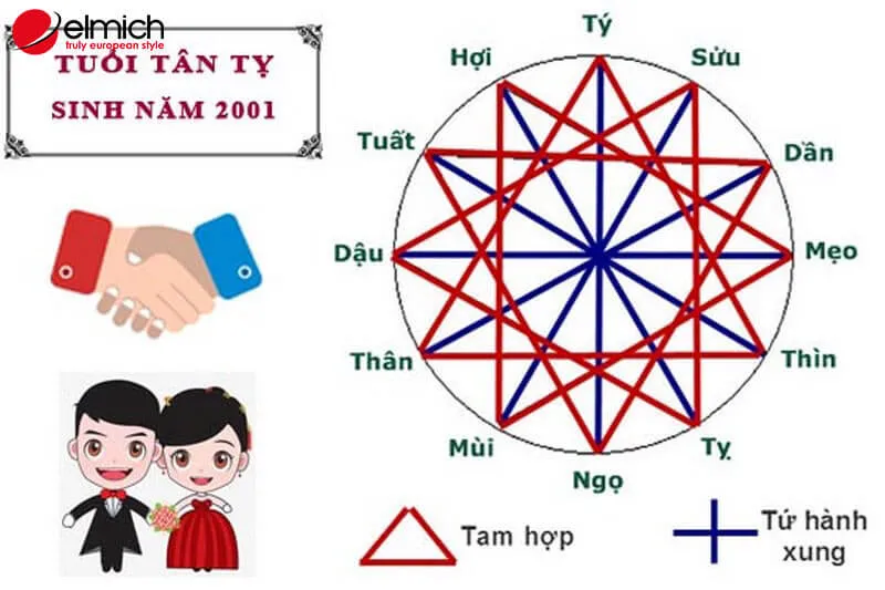 Alt text: Bảng thông tin chi tiết về tuổi Tân Tỵ 2001