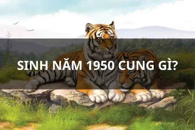 Canh Dần 1950 thuộc cung gì?