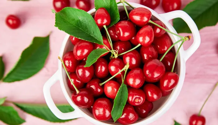 Điều kiện lý tưởng trồng cherry