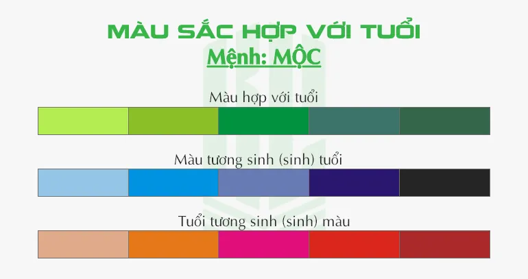 alt text: Người mạng Mộc hợp với màu sắc gì?