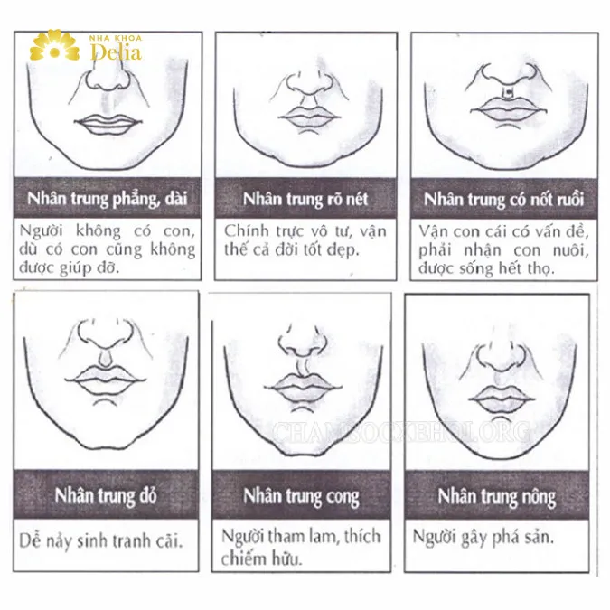 Xem tướng nhân trung: sâu, dài, ngắn, rộng, mờ nhạt