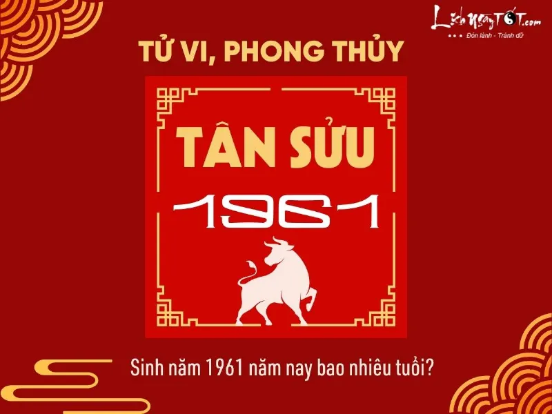 Sinh nam 1961 nam nay bao nhieu tuoi?