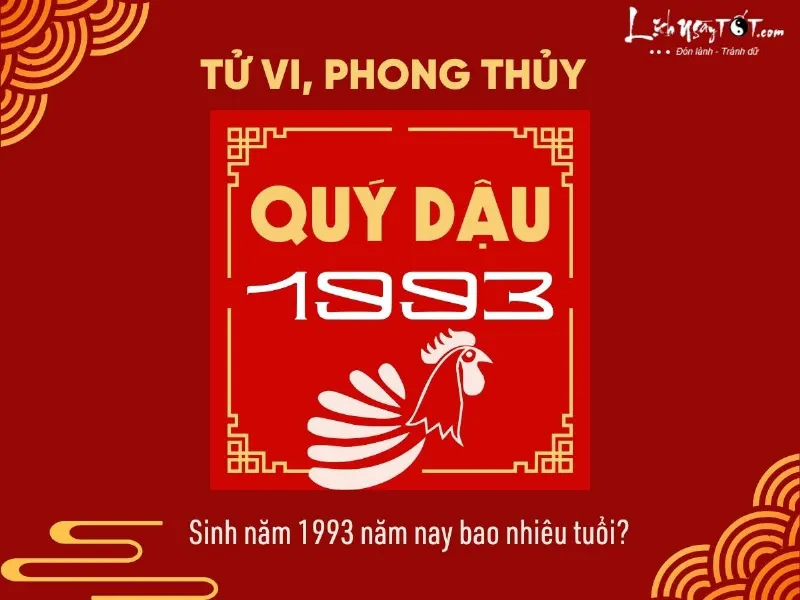 Sinh nam 1993 nam nay bao nhieu tuoi?