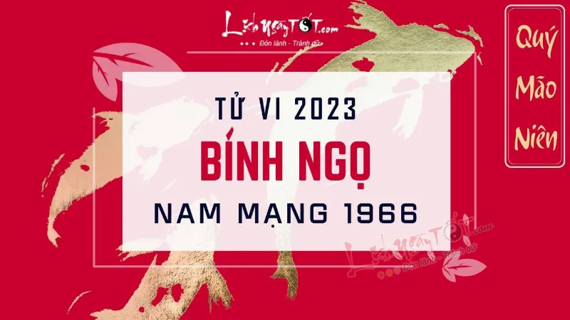 Tử vi tuổi Bính Ngọ 1966 nam mạng năm 2023