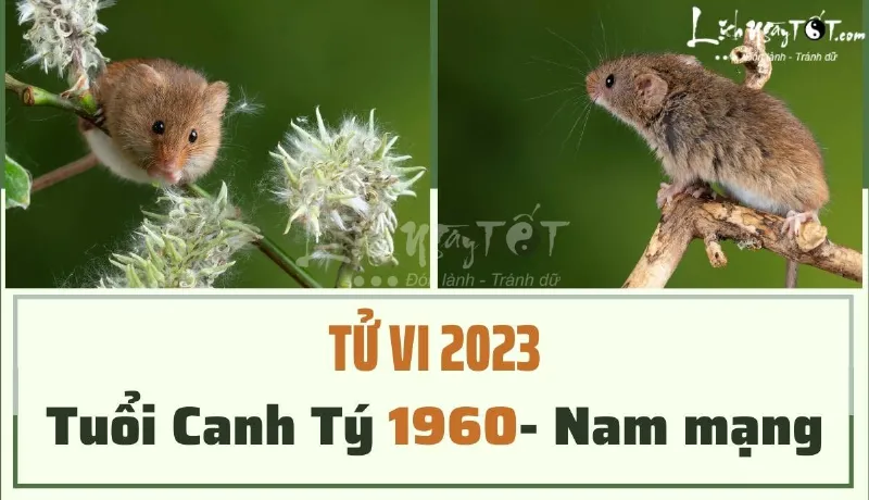 Tử vi tuổi Canh Tý 1960 nam mạng năm 2023