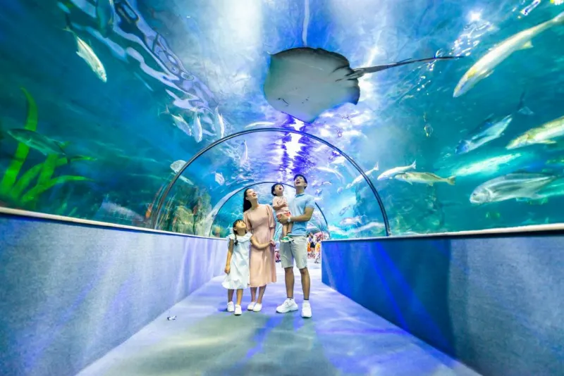 Các loài cá đa dạng tại Vinpearl Aquarium