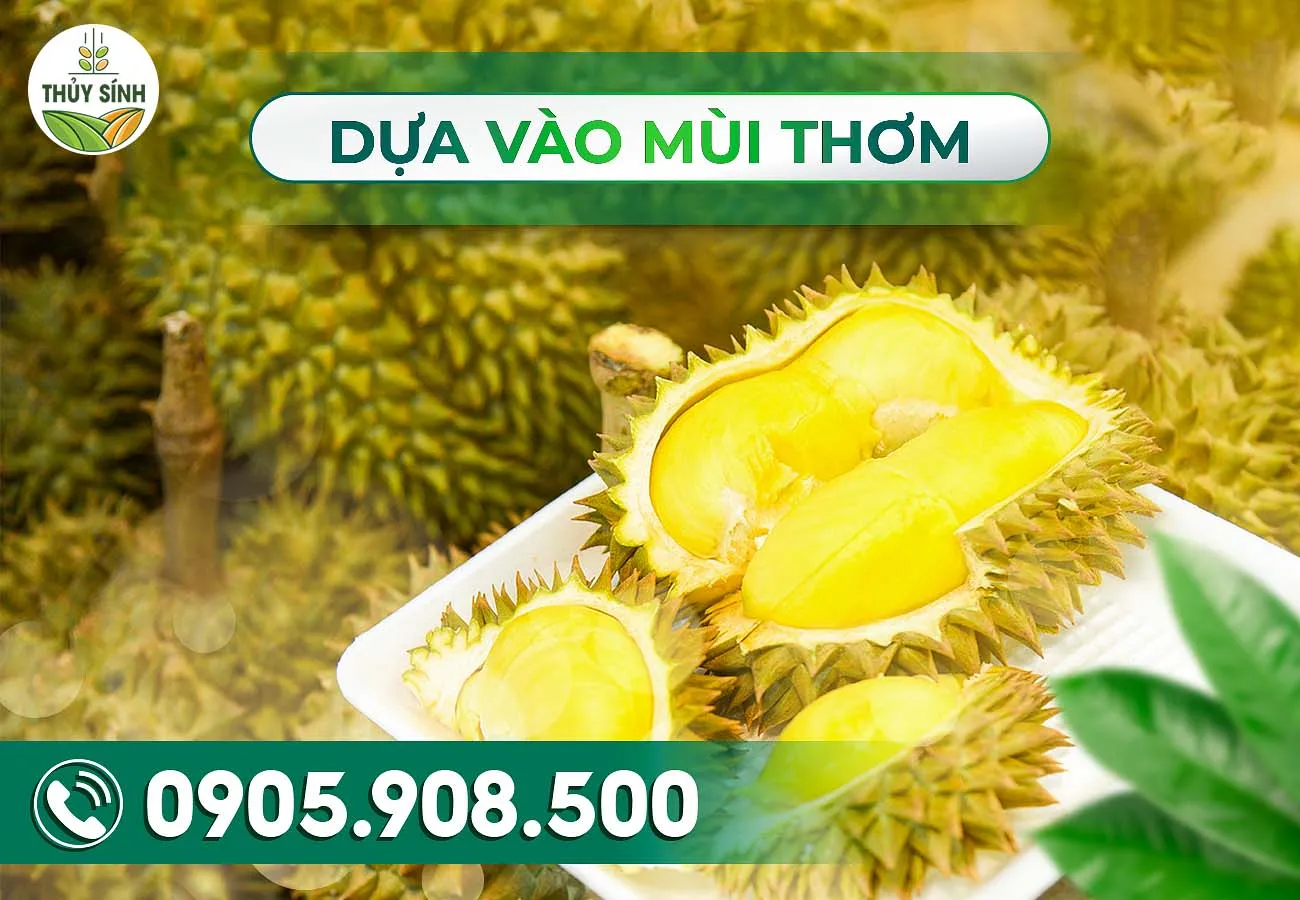 Dựa vào mùi thơm